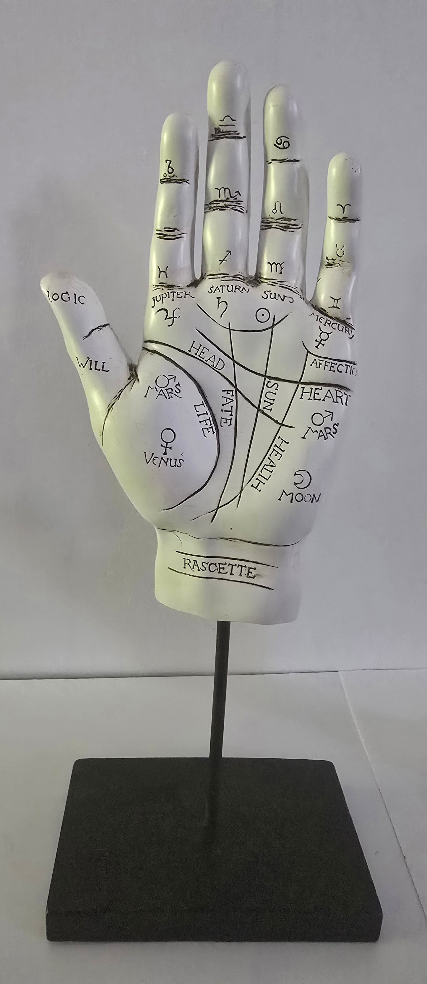 Palmistry Hand