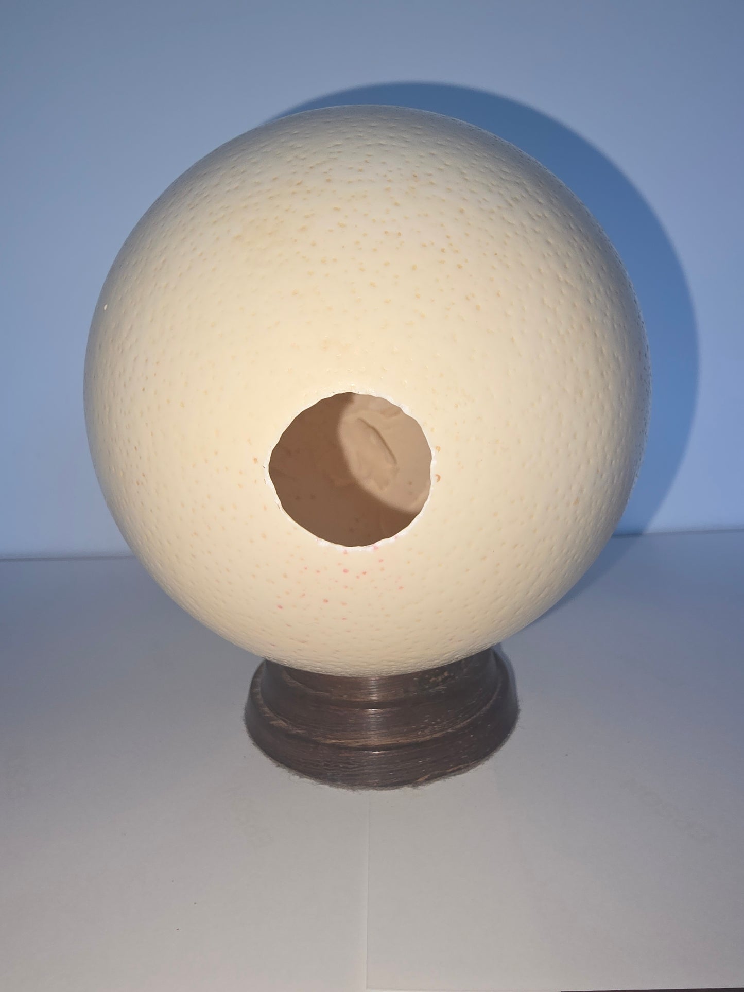Ostrich Egg