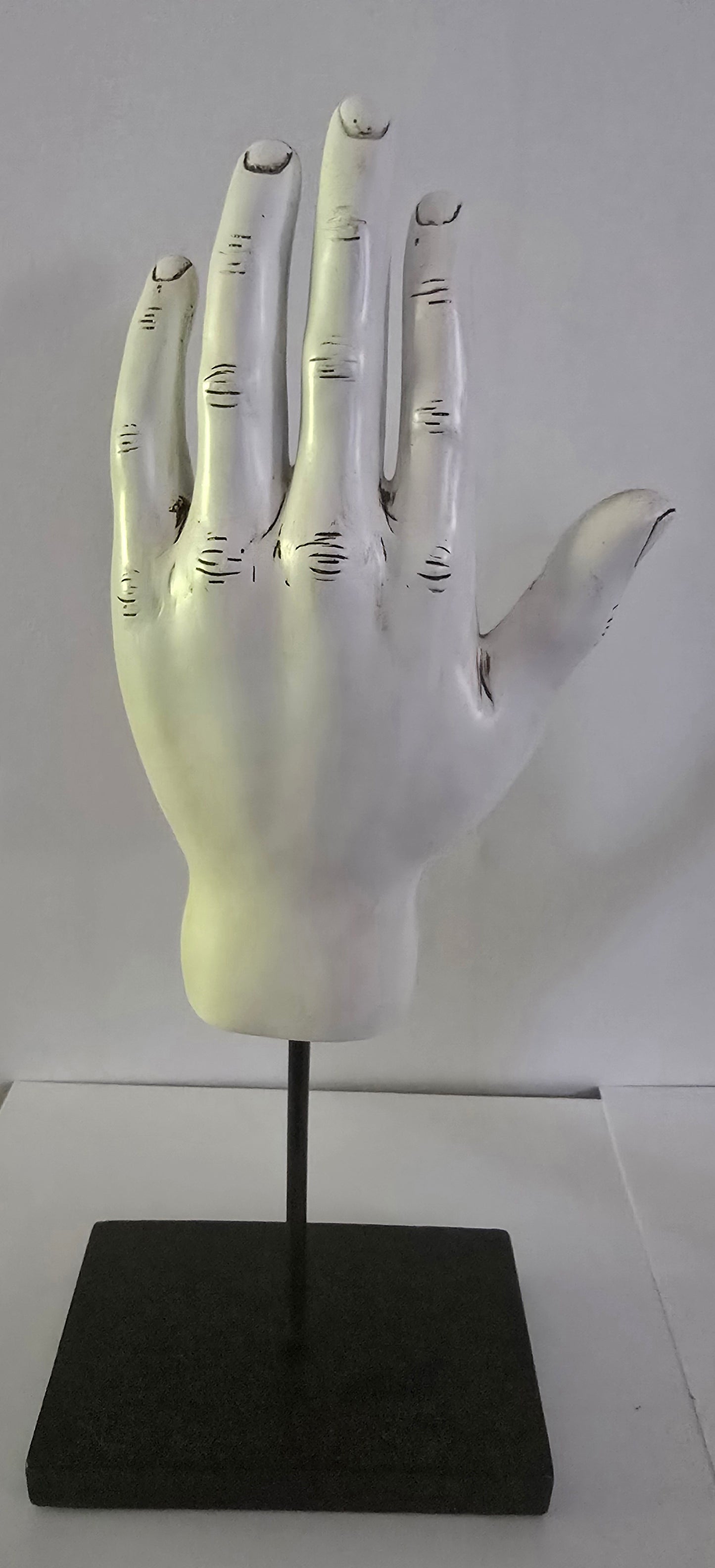 Palmistry Hand